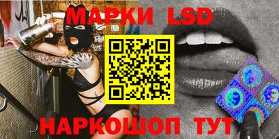 стафф Кингисепп