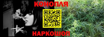 стафф Кингисепп