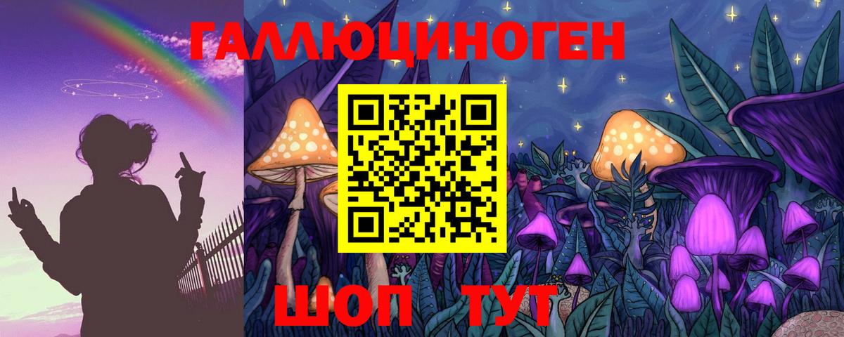 Псилоцибиновые грибы GOLDEN TEACHER Ковров