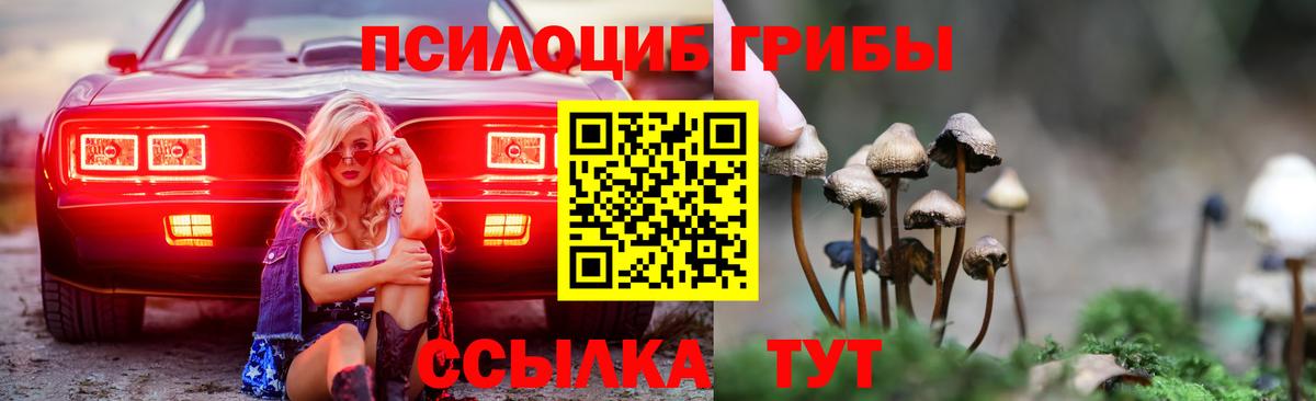 Псилоцибиновые грибы Magic Shrooms  Вход с VPN  Ковров 