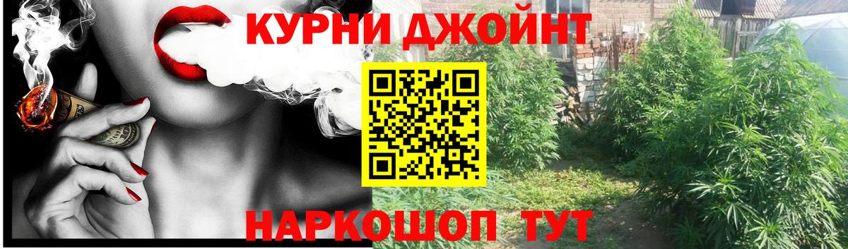 Ковров  Канабис MAZAR  МАРИХУАНА семена  Вход с VPN  Марихуана индика 